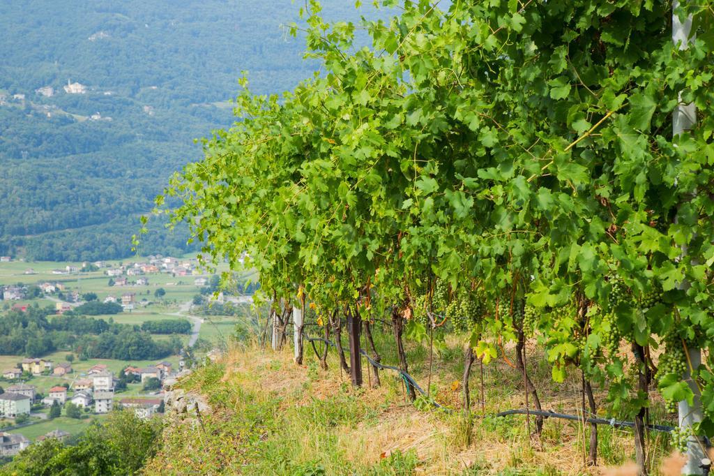 B&B Ca' La Vedescia テーリオ エクステリア 写真
