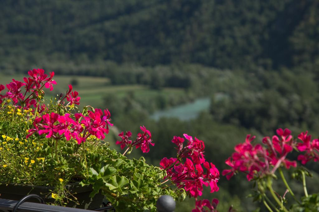 B&B Ca' La Vedescia テーリオ エクステリア 写真